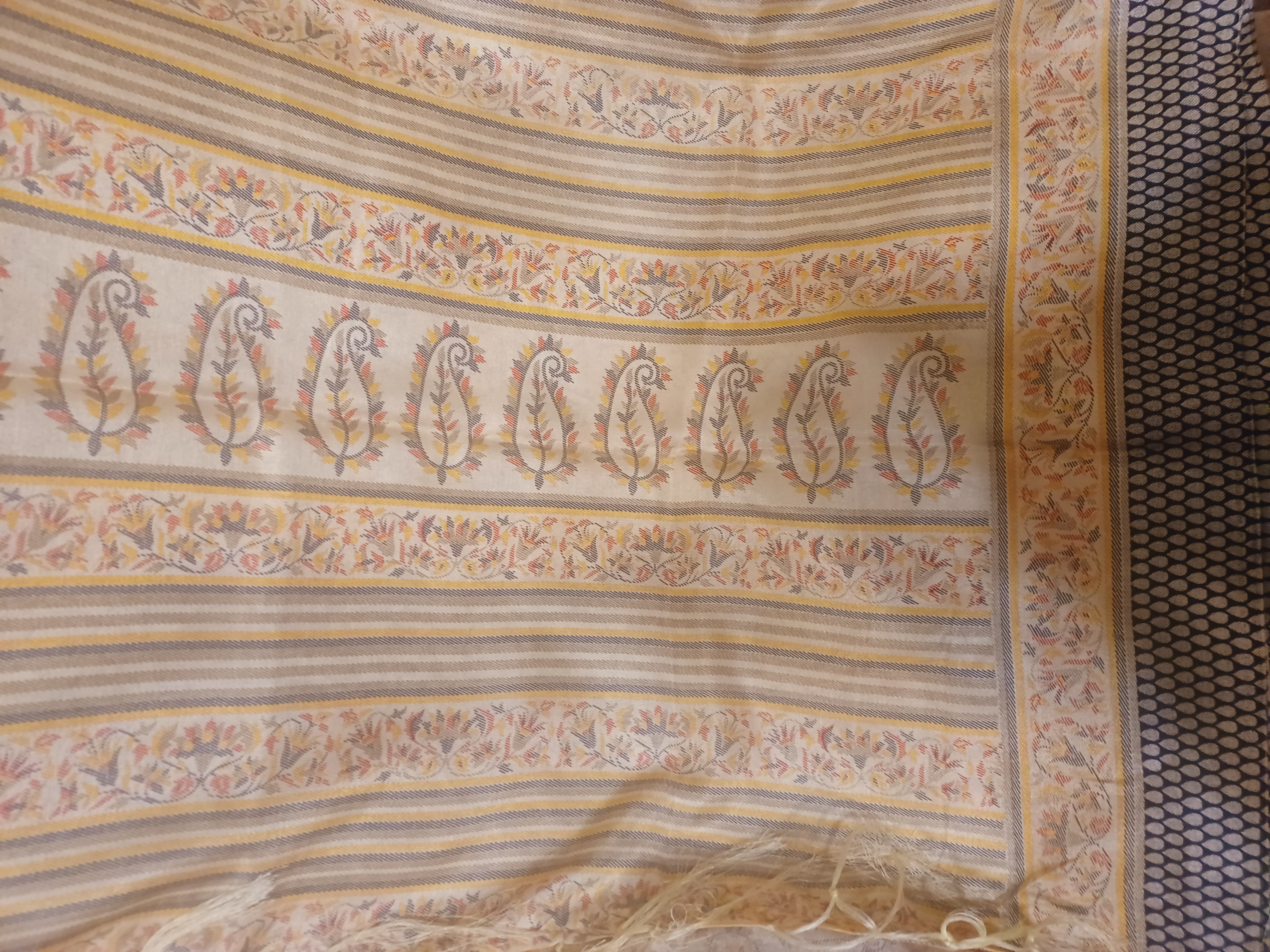 Pashmina Saree Pashmina Saree