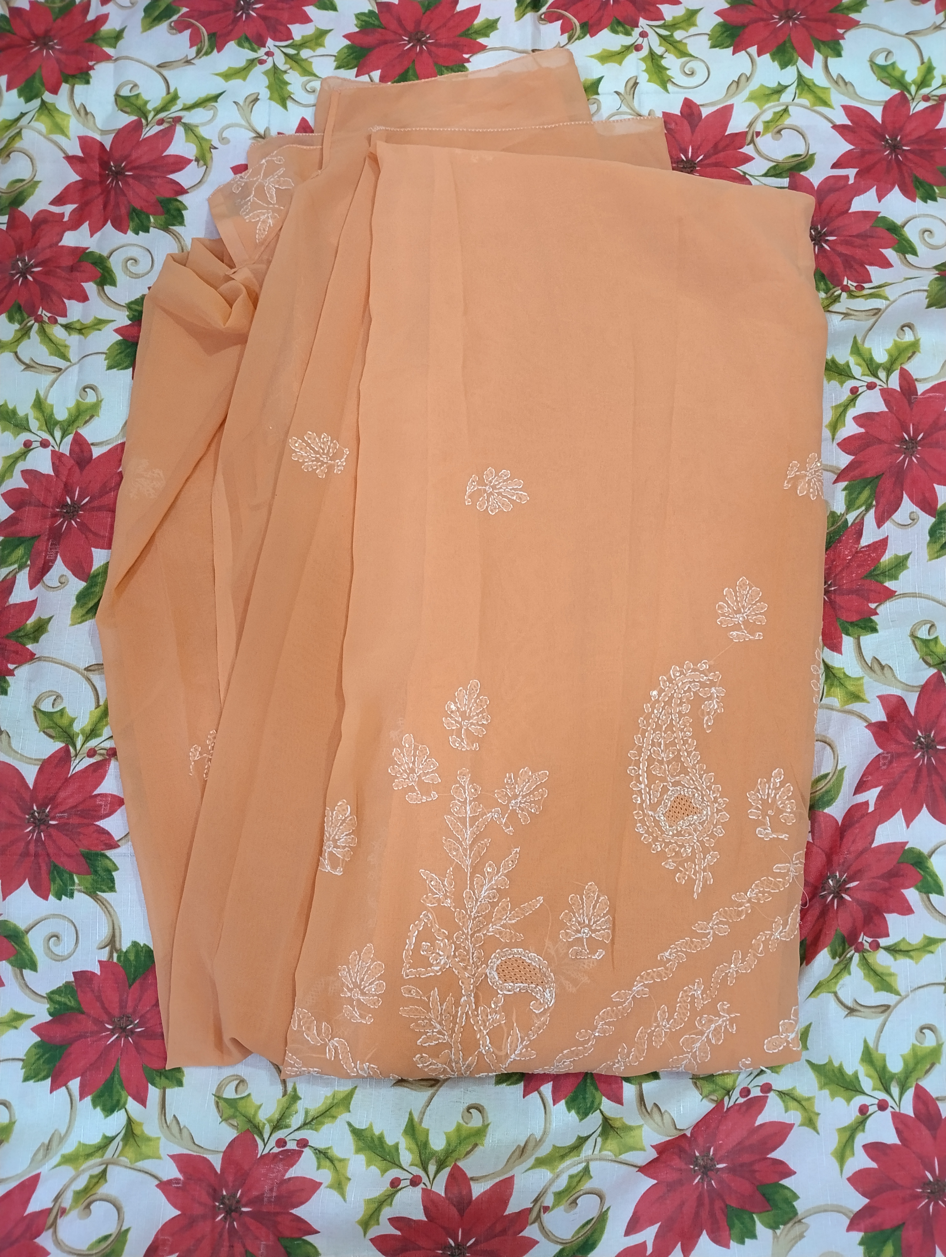Elegant Peach Chikankari Saree Elegant Peach Chikankari Saree