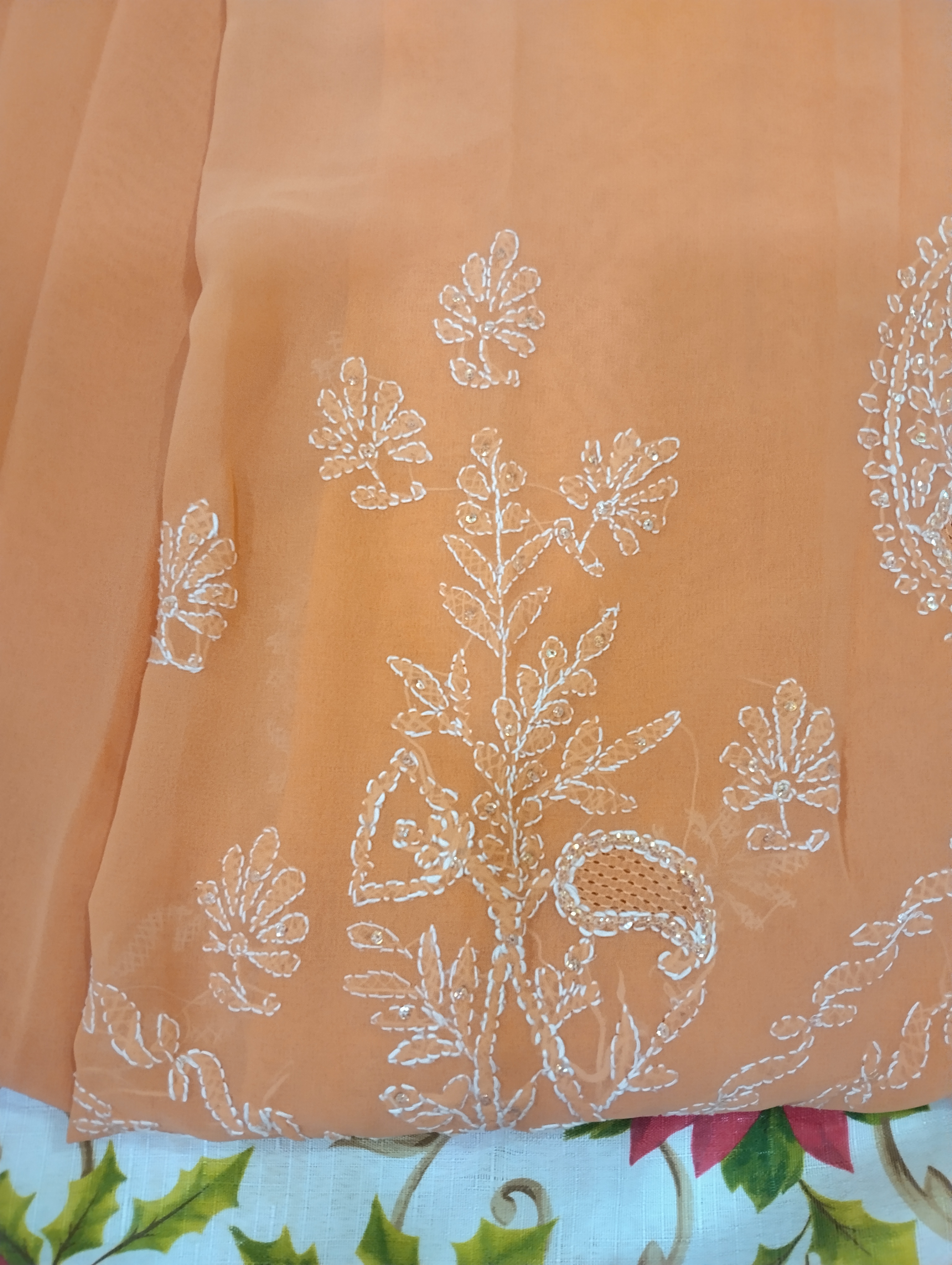 Elegant Peach Chikankari Saree Elegant Peach Chikankari Saree