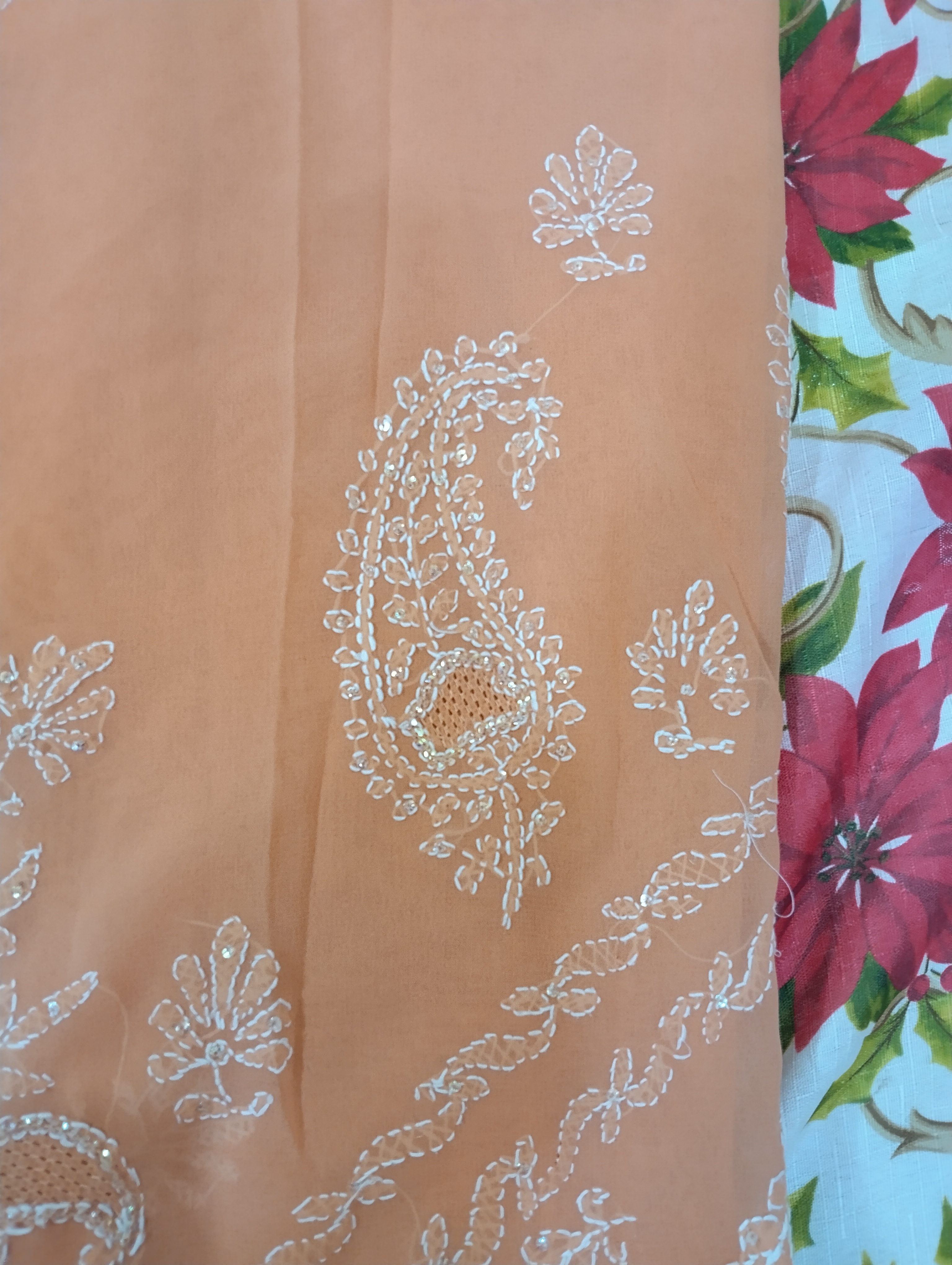 Elegant Peach Chikankari Saree Elegant Peach Chikankari Saree