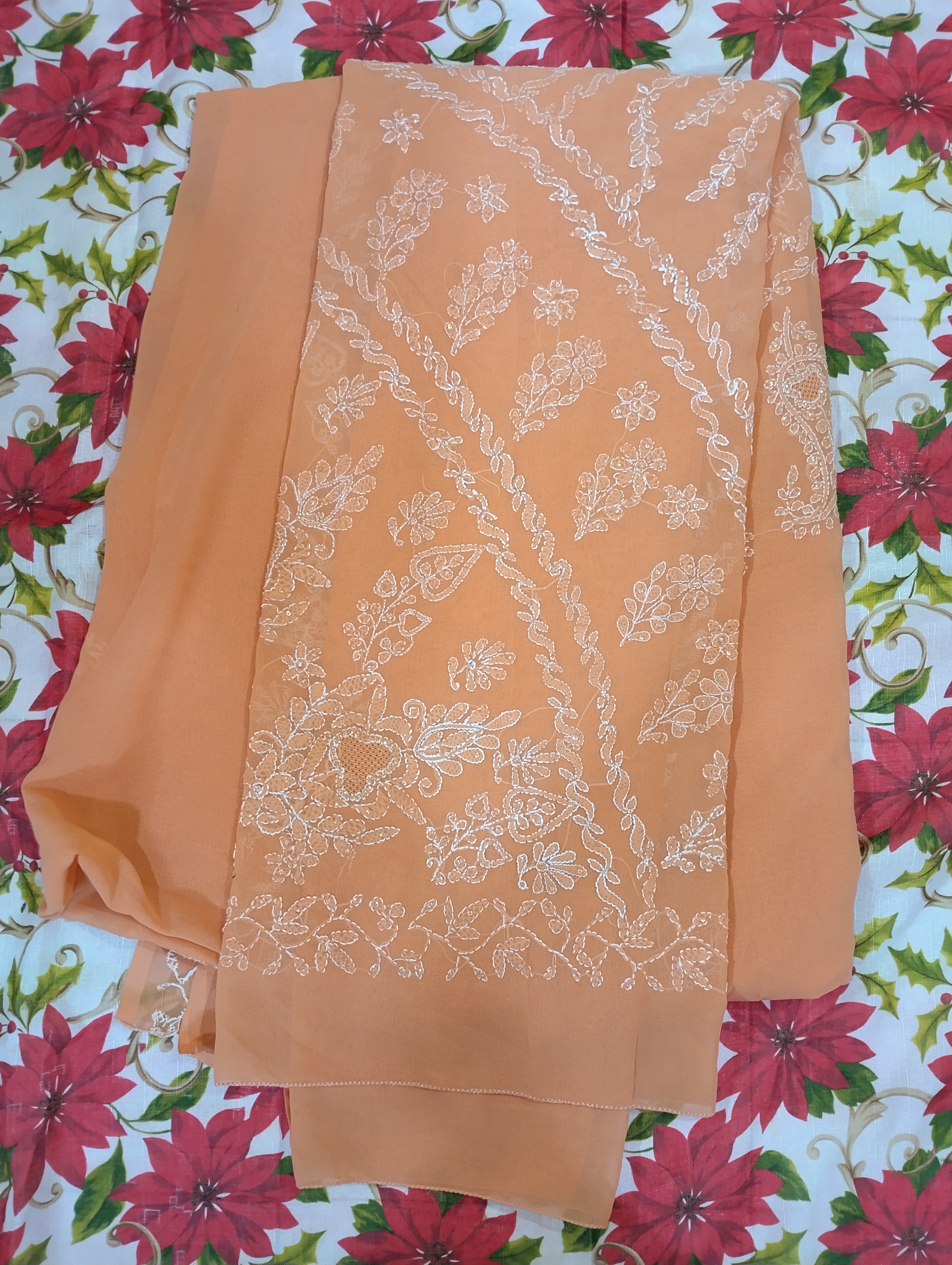 Elegant Peach Chikankari Saree Elegant Peach Chikankari Saree